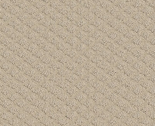 Nature's Own Canvas 00103