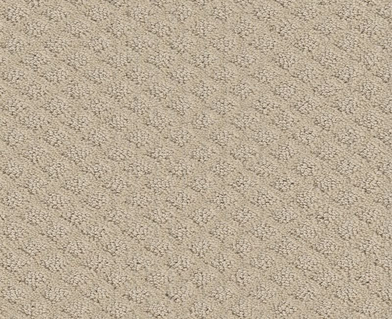 Nature's Own Canvas 00103