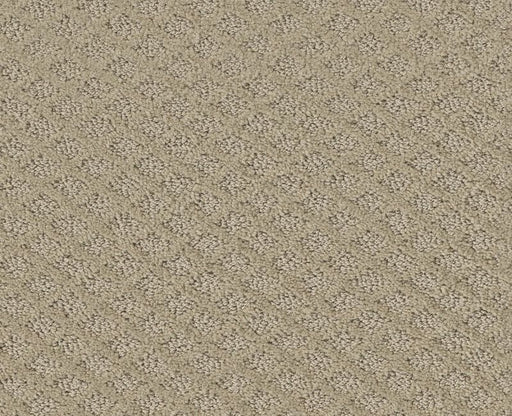 Nature's Own Frost 00104