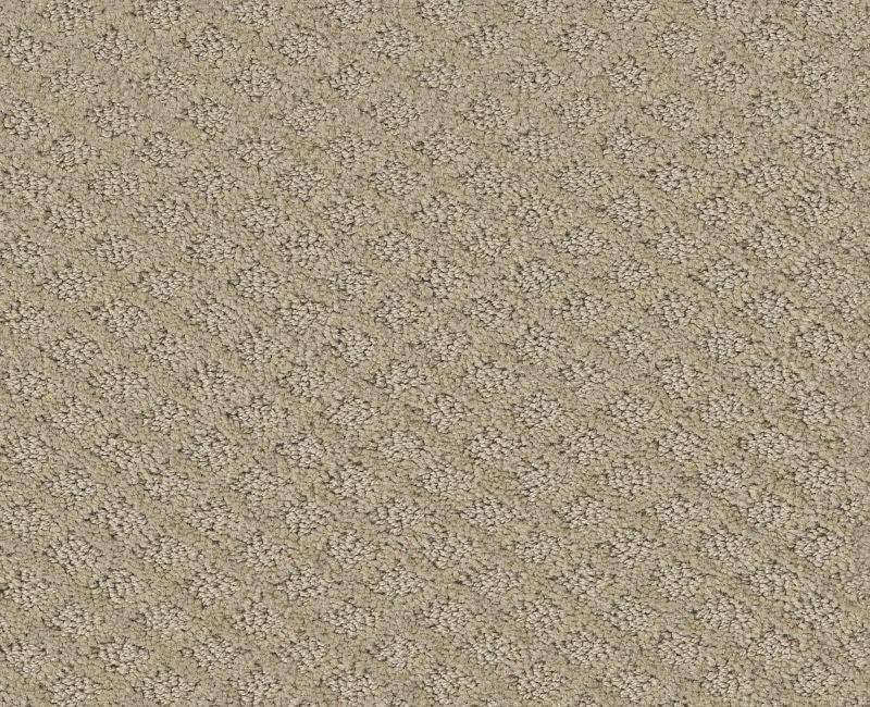 Nature's Own Frost 00104