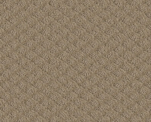 Nature's Own Mushroom 00703