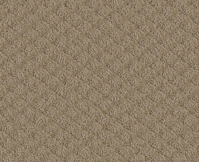 Nature's Own Mushroom 00703