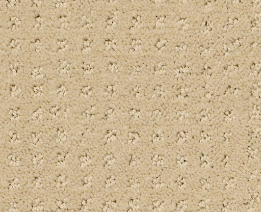 Detailed Elegance Pattern French Linen 00103