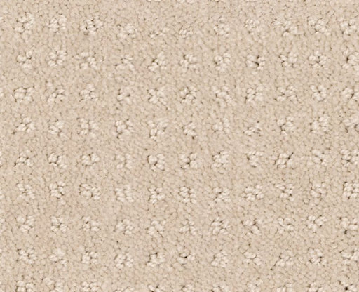 Detailed Elegance Pattern Bare Essence 00151