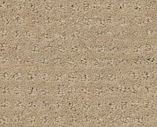 Detailed Elegance Pattern Latte 00152