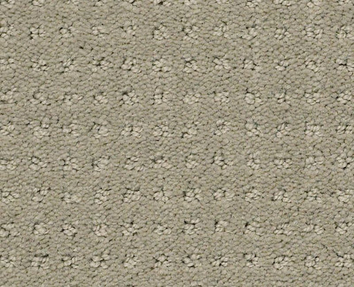 Detailed Elegance Pattern Ash 00550