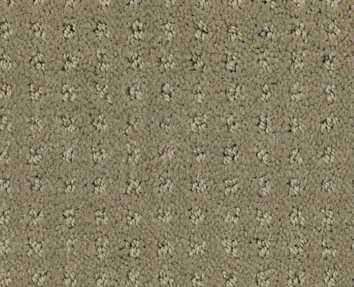 Detailed Elegance Pattern Rocky Coast 00750