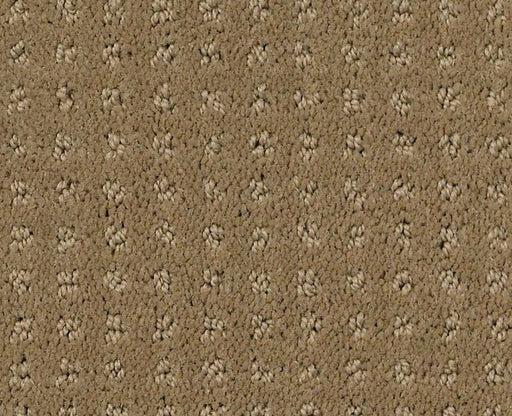 Detailed Elegance Pattern Cappuccino 00756