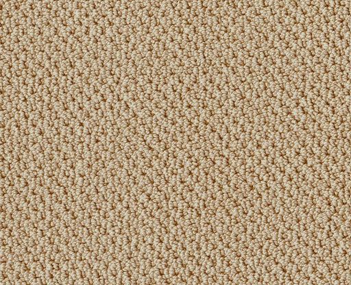 Detailed Statement Loop Mesa 00105