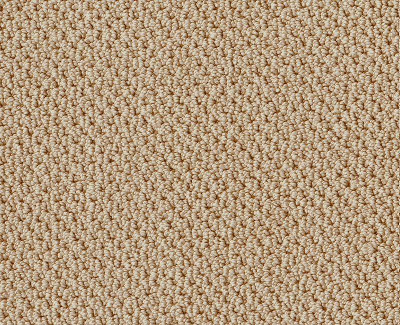 Detailed Statement Loop Mesa 00105