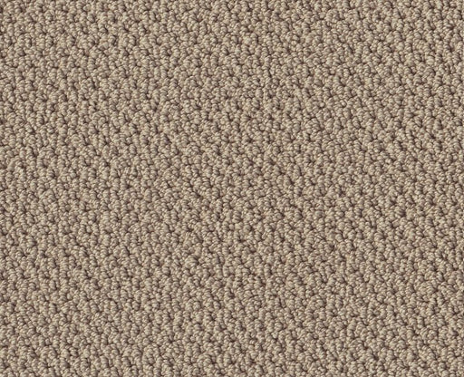 Detailed Statement Loop Latte 00152