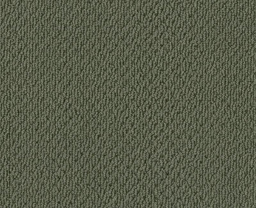 Detailed Statement Loop Bay Laurel 00351