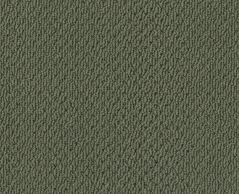 Detailed Statement Loop Bay Laurel 00351