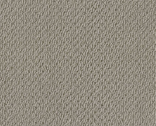 Detailed Statement Loop Ash 00550