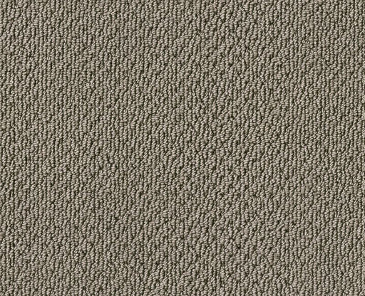 Detailed Statement Loop Rocky Coast 00750