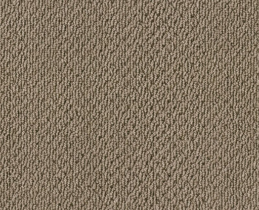 Detailed Statement Loop Cappuccino 00756