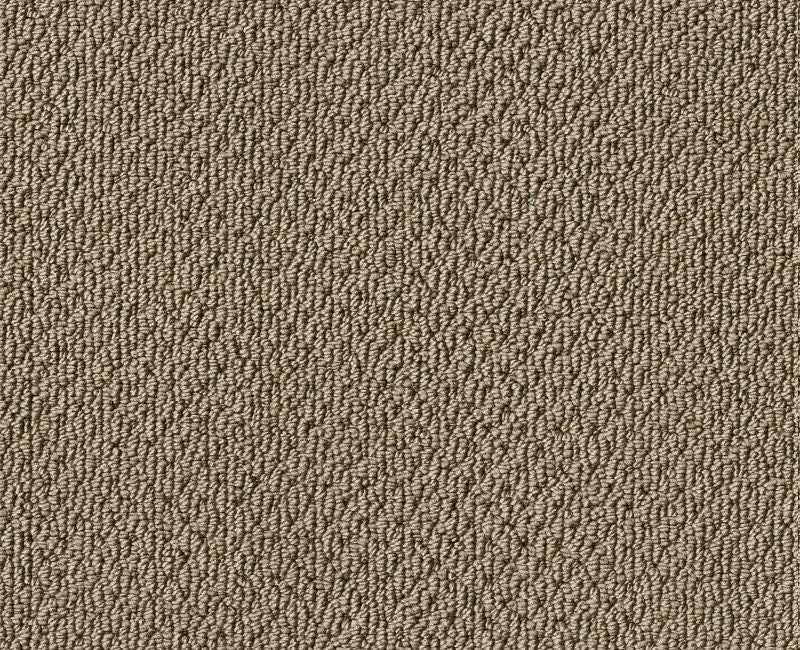 Detailed Statement Loop Cappuccino 00756