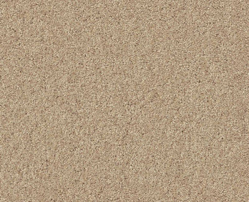 Detailed Elegance II Mesa 00105