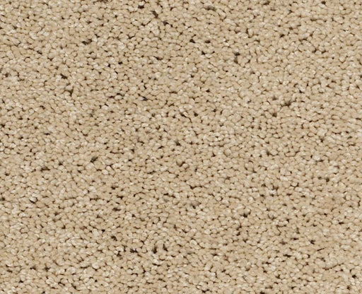 Detailed Elegance I Beach Walk 00126