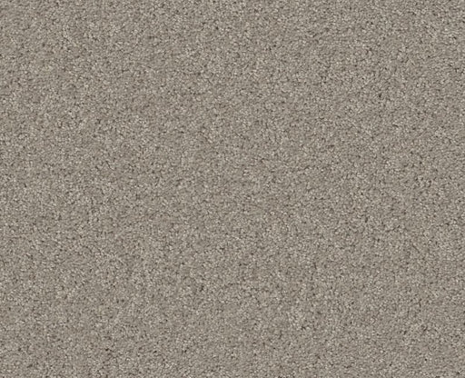 Detailed Elegance I Textured Canvas 00150