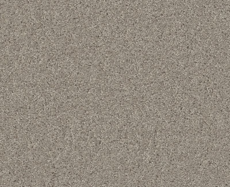 Detailed Elegance I Textured Canvas 00150