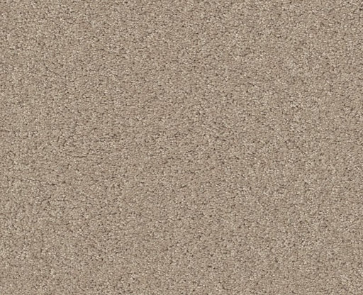 Detailed Elegance I Bare Essence 00151