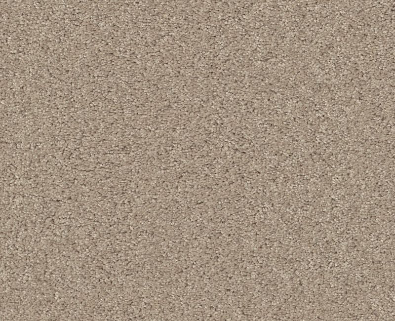 Detailed Elegance II Bare Essence 00151