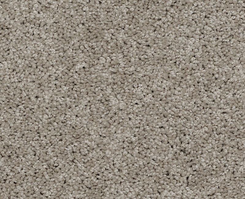 Detailed Elegance II Latte 00152