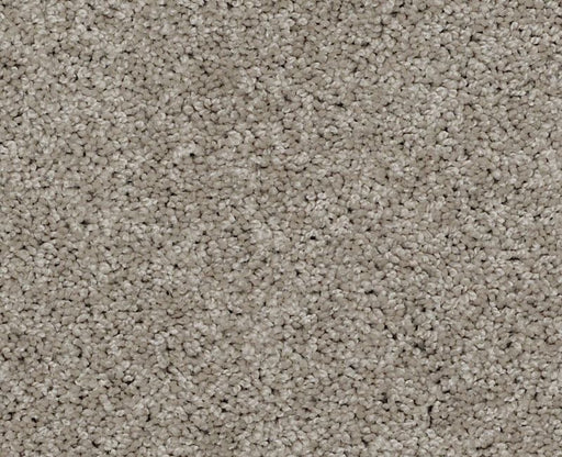 Detailed Elegance I Latte 00152