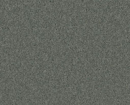 Detailed Elegance III Silver Sage 00350