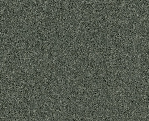 Detailed Elegance I Bay Laurel 00351