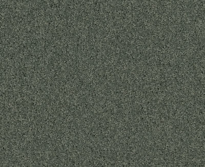 Detailed Elegance II Bay Laurel 00351