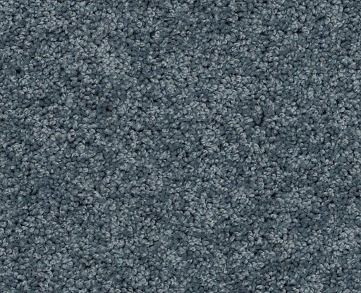 Detailed Elegance II Old Blue Eyes 00450