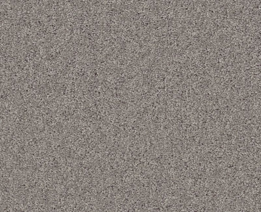 Detailed Elegance I Ash 00550