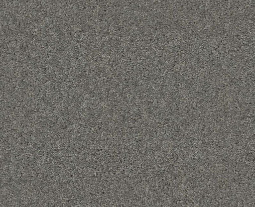 Detailed Elegance I Charcoal 00551