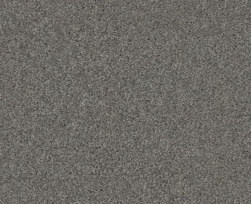 Detailed Elegance I Charcoal 00551