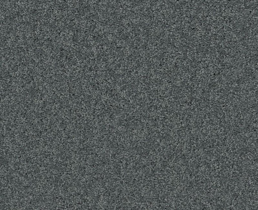 Detailed Elegance III Atmosphere 00552