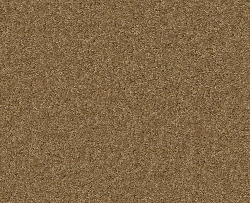 Detailed Elegance III Grey Flannel 00501