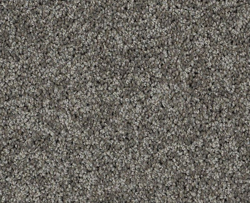 Detailed Elegance I Graphite 00754