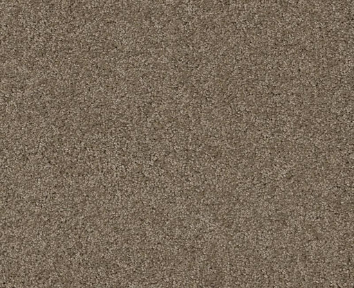 Detailed Elegance II Cappuccino 00756