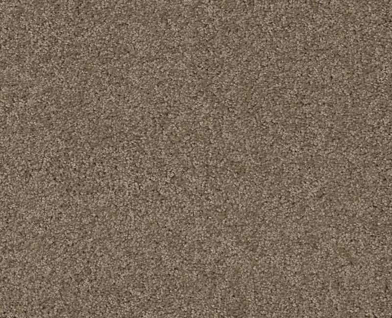 Detailed Elegance III Cappuccino 00756