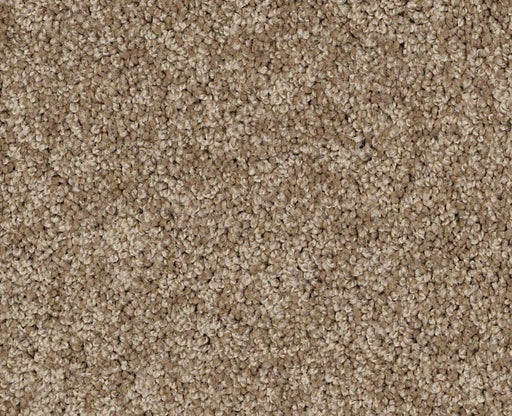 Detailed Elegance I Saffron 00757