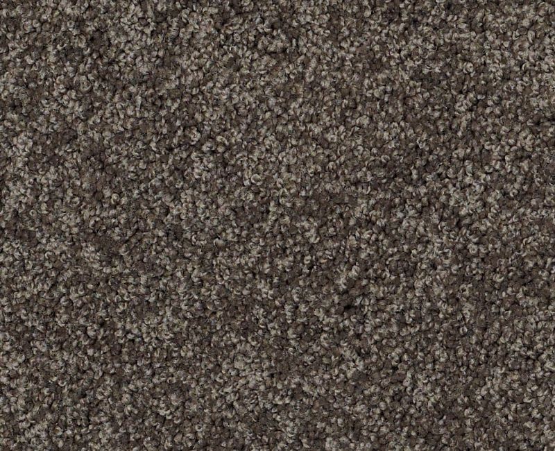 Detailed Elegance II Chocolate 00758