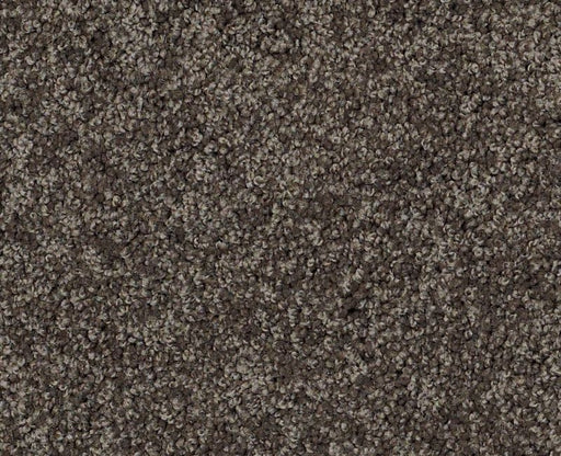 Detailed Elegance III Chocolate 00758