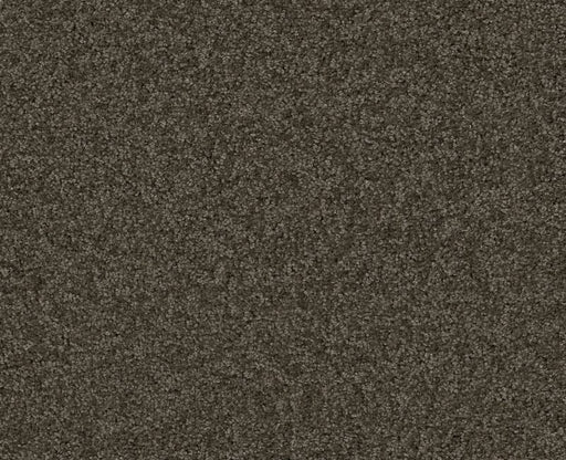 Detailed Elegance I Weathered Wood 00759