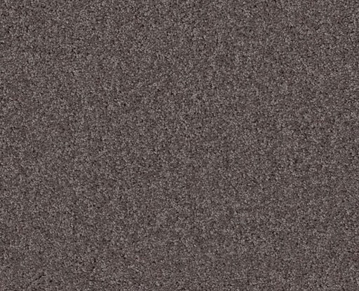 Detailed Elegance I Sepia 00950