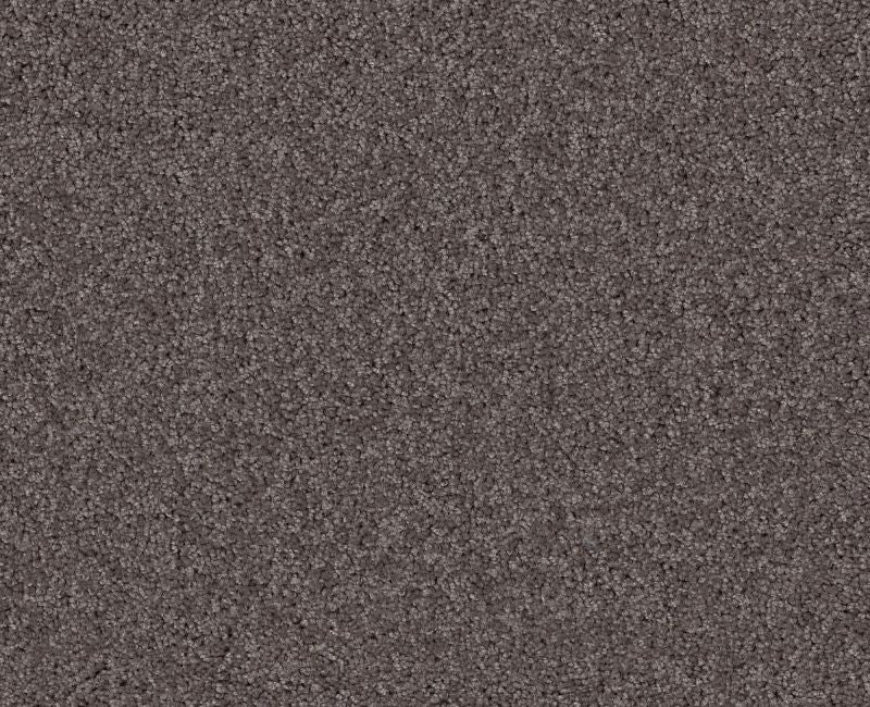 Detailed Elegance I Sepia 00950