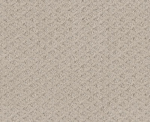 Final Thought Fossil Path 00108