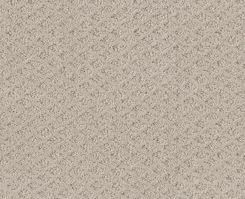 Final Thought Fossil Path 00108