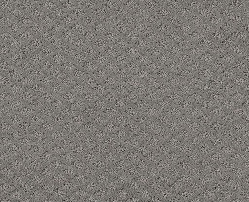 Final Thought Grey Fox 00504